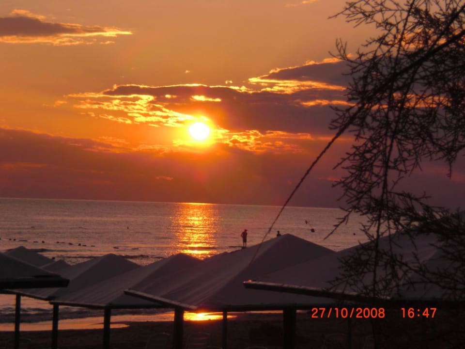 Abendstimmung PALOMA Perissia