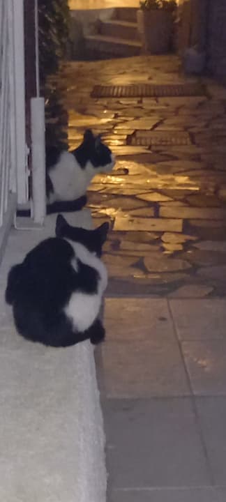 Sonstiges Hotel Oasis