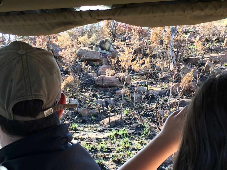 Safari Shidzidzi Game Lodge