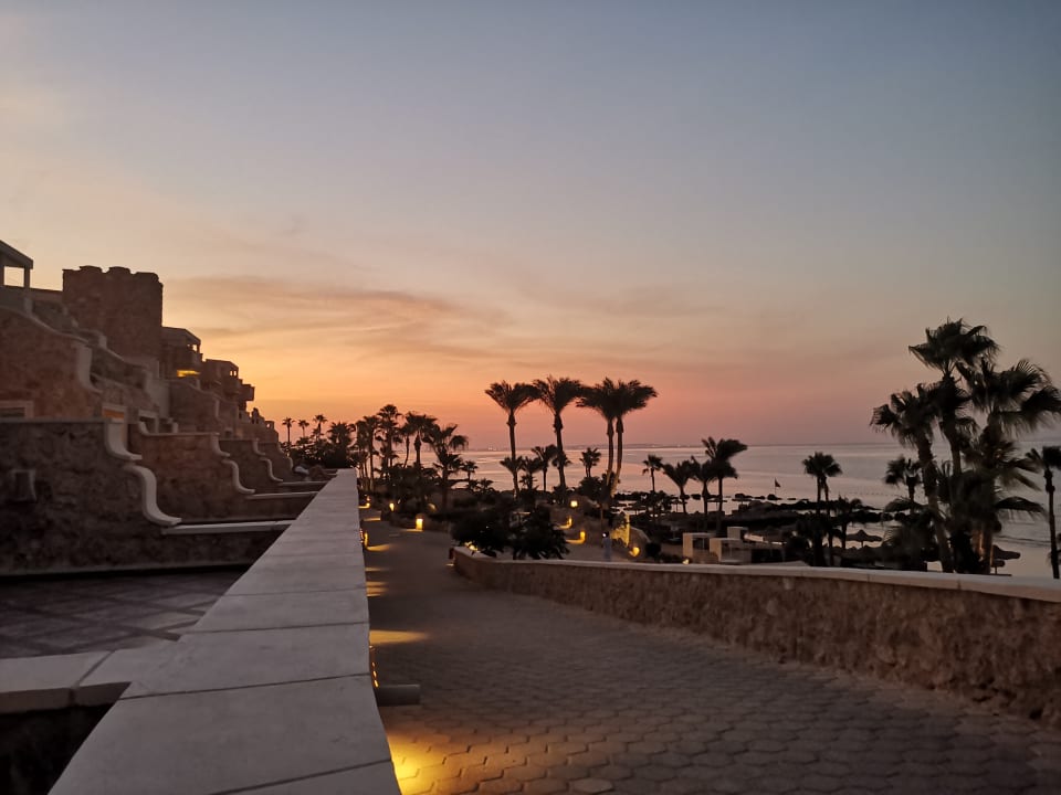 Zimmer Pickalbatros Citadel Resort