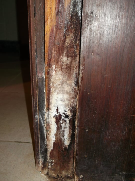 Türrahmen zum Bad Le Jardin Aqua Park Resort