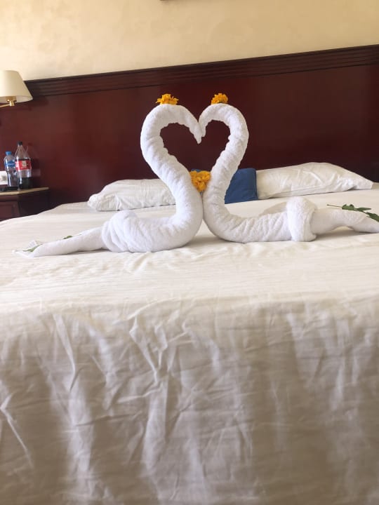 Zimmer Malikia Resort Abu Dabbab