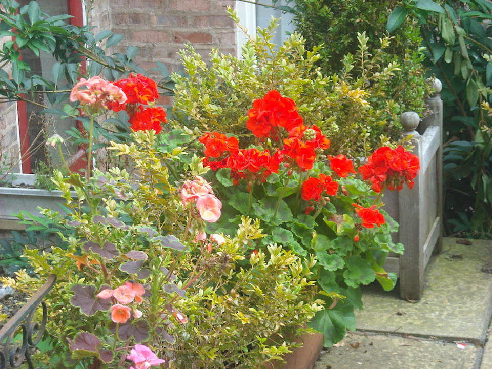 Внутренний дворик Holgate Hill Hotel