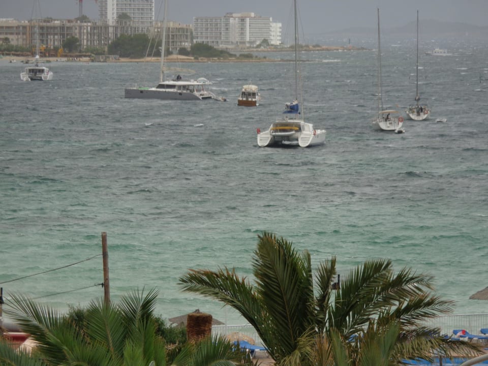 Vom Balkon Zimmer 229 Hotel Osiris