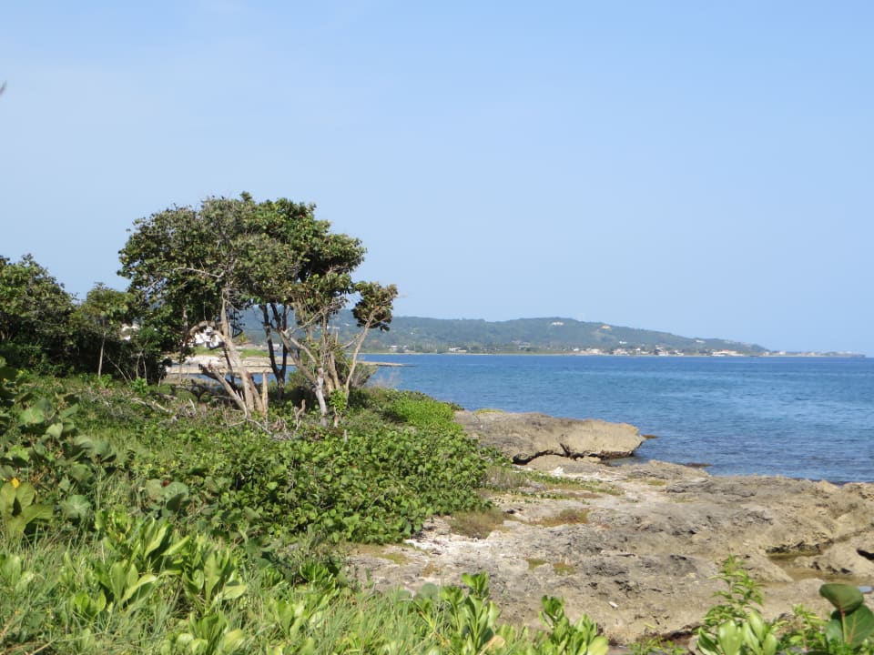 Ausblick Grand Palladium Jamaica Resort & Spa