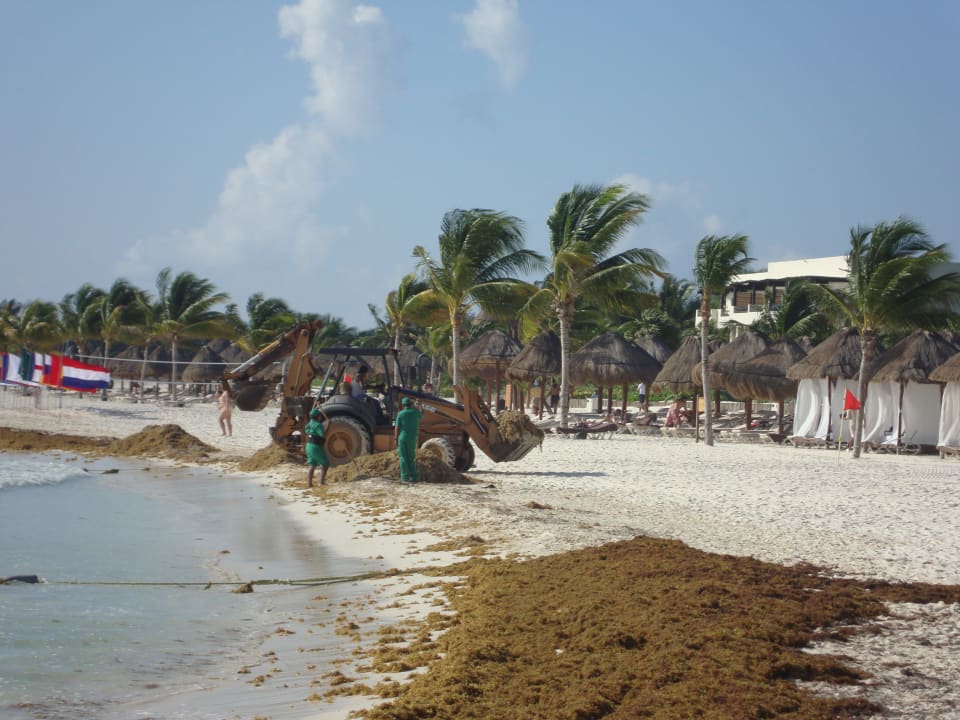 Übergang von unserem Hotel zum Nachbarhotel Catalonia Playa Maroma