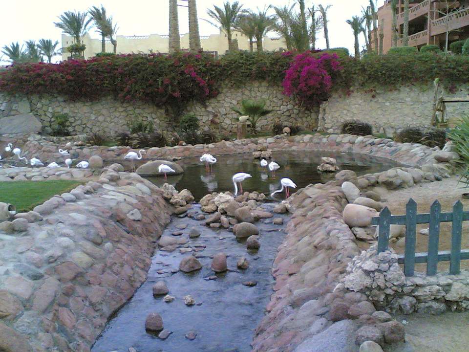 Parkanlage Hotel Hauza Beach Resort