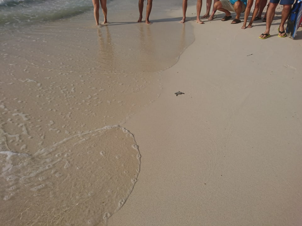 Strand Akumal Bay Beach & Wellness Resort