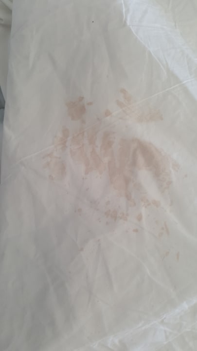 Zimmer Maya World Park Hotel