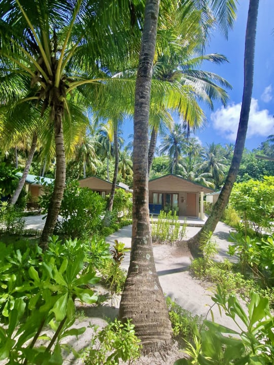 Gartenanlage Meeru Maldives Resort Island