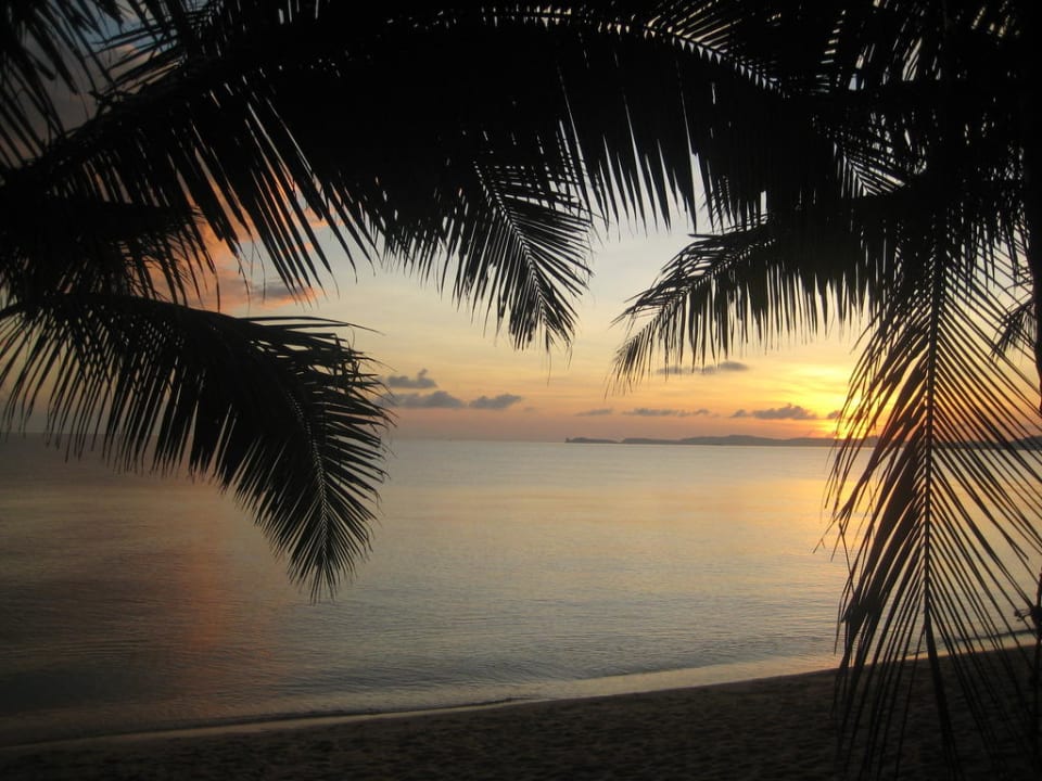 Sonnenaufgang Hotel Palm Point Village