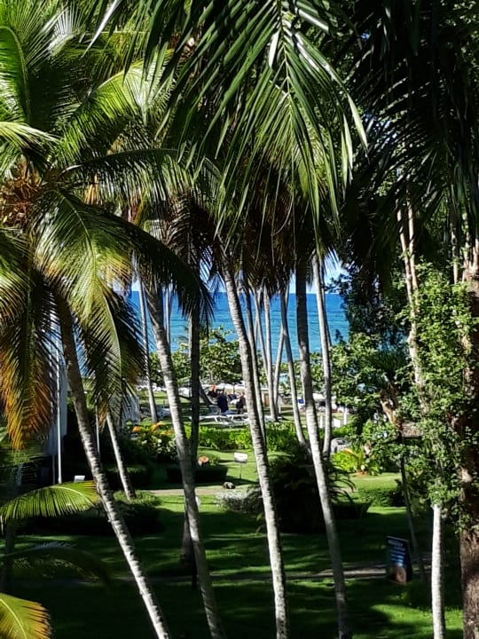 Zimmer Wyndham Alltra Samana