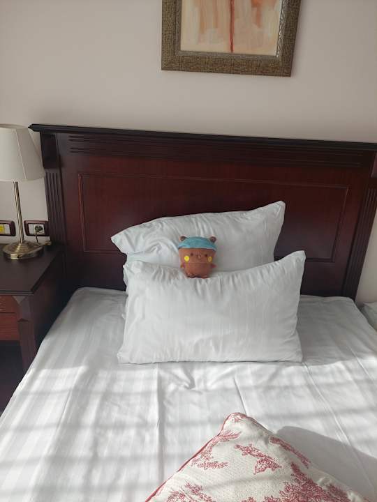 Zimmer Melia Grand Hermitage