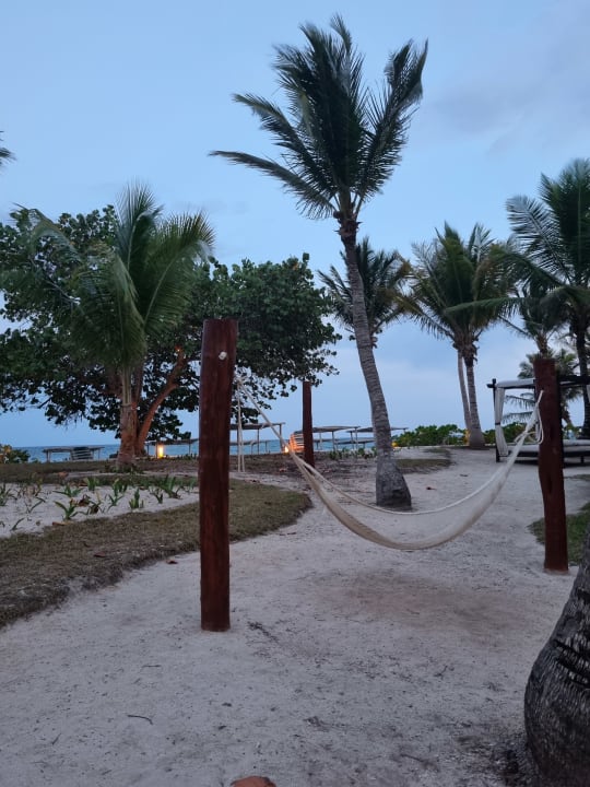 Gartenanlage Akumal Bay Beach & Wellness Resort
