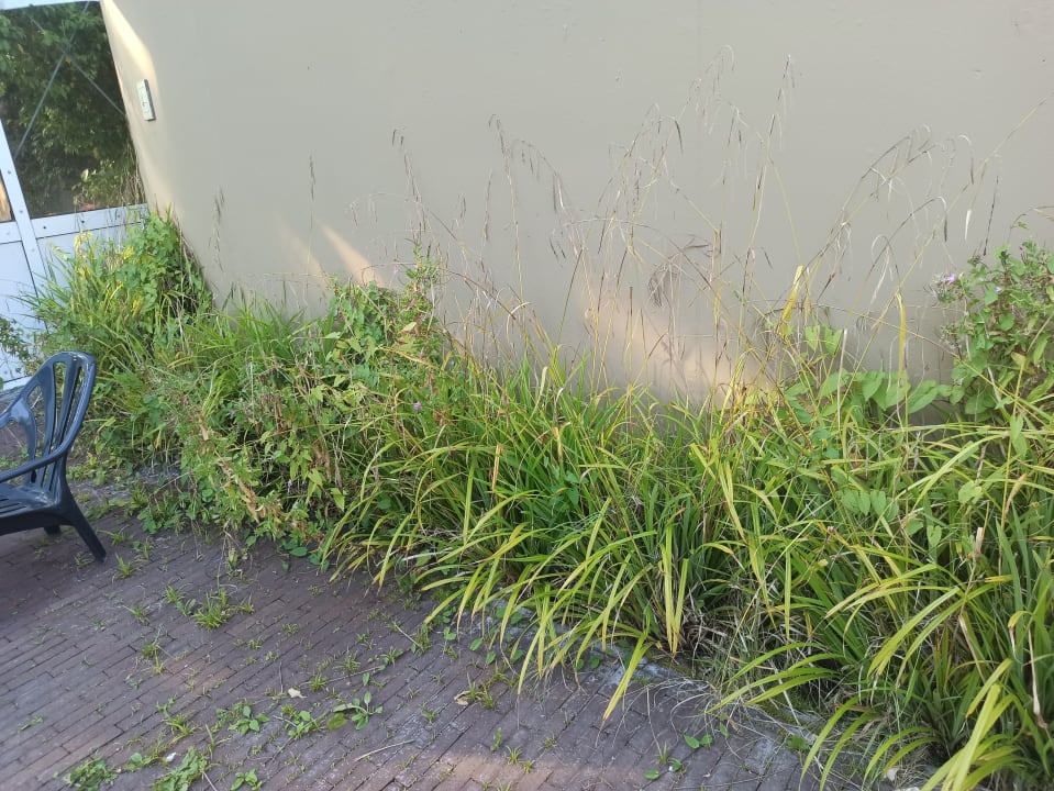 Gartenanlage Center Parcs Park Nordseeküste