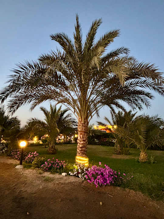 Gartenanlage Three Corners Happy Life Beach Resort