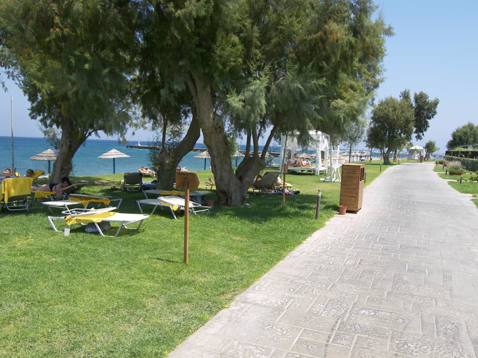 Nur ein schmaler Weg zwischen Pool und Strand TUI BLUE Oceanis Beach and Spa Resort