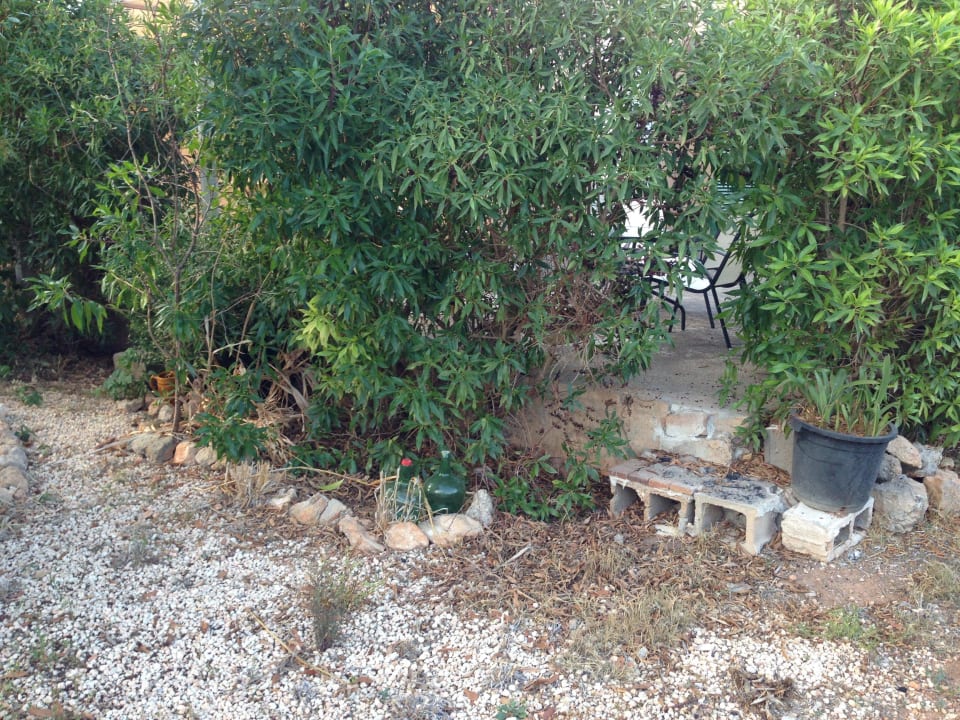 Verschmutzter Garten Finca Kalotta