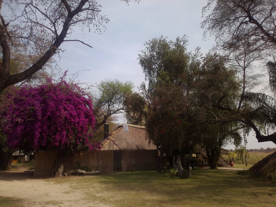 View Of The Kitchen And Restaurant.  n'Kwazi Lodge And Camping Site