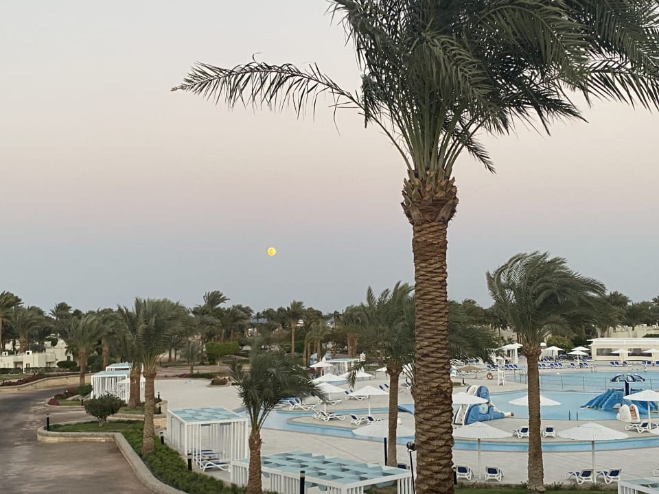Pool Pharaoh Azur Resort