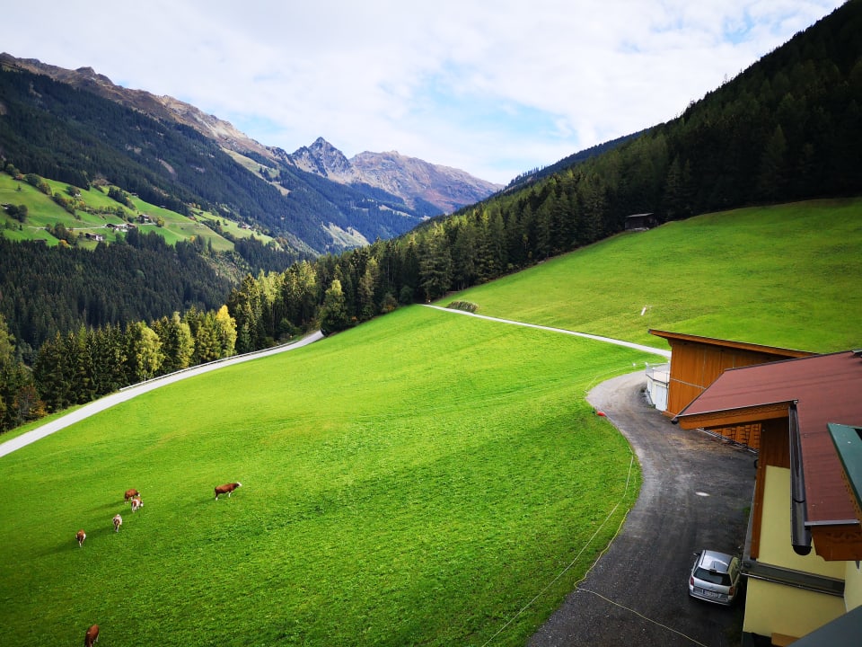 Ausblick Alpengasthof Tannenalm