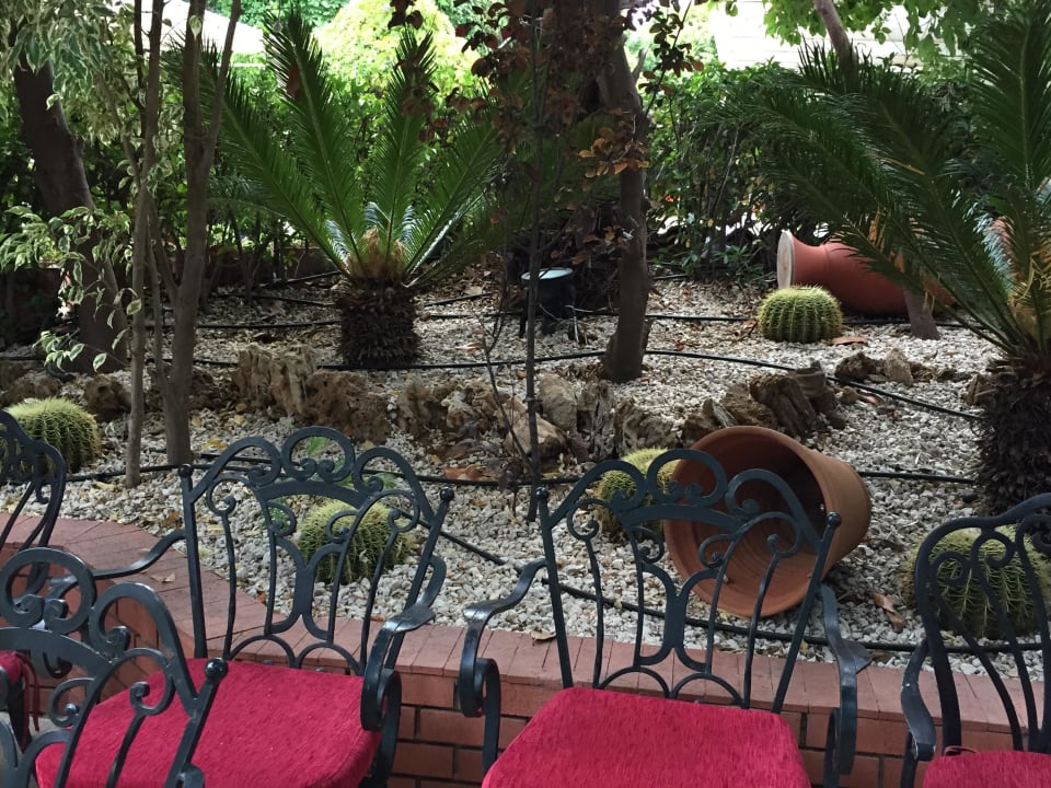 Weg zum Haupthaus Hotel Club Sera