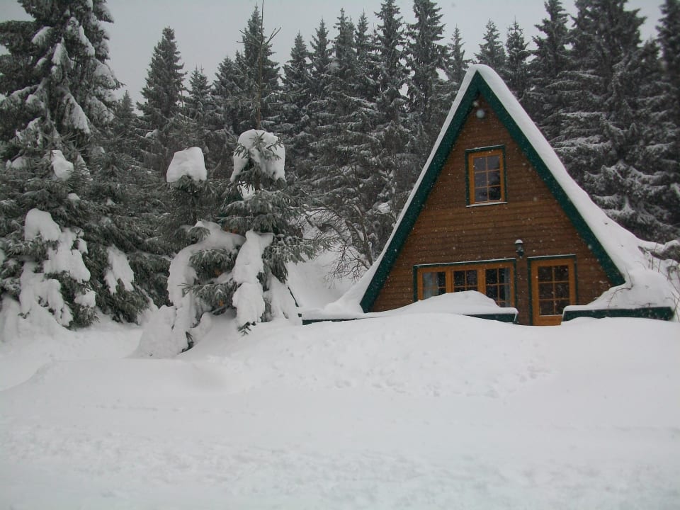 Finnhütte Berggasthof Brand - Finnhütten & Ferienhäuser am Rennsteig