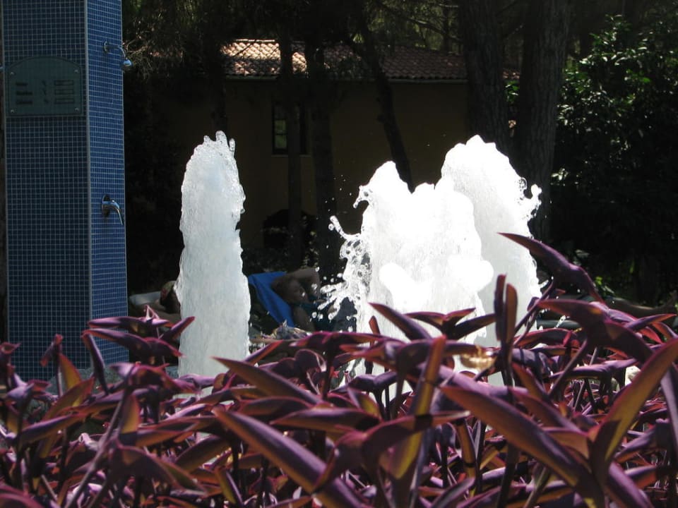 Ogród Asteria Family Belek