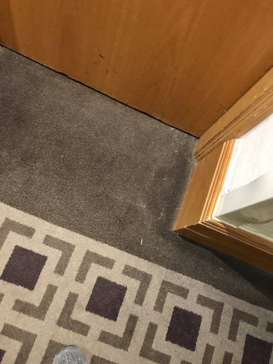 Zimmer Hilton London Kensington