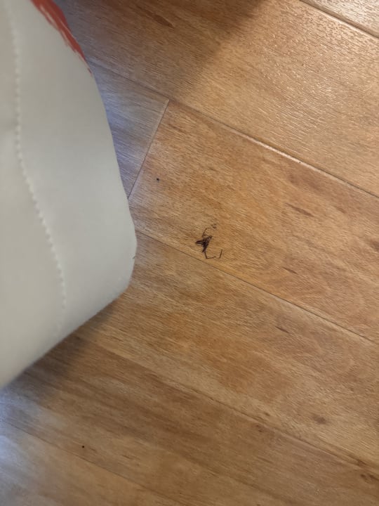 Zimmer mD-Hotel Wittensee Schützenhof