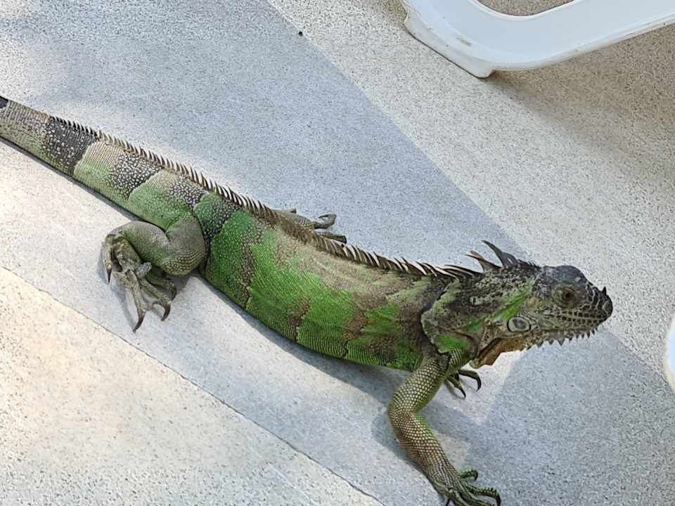 Sonstiges The Hacienda at Hilton Puerto Vallarta - Adults Only