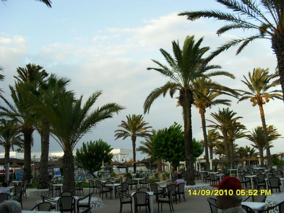 Hotelgarten El Mehdi Beach Resort