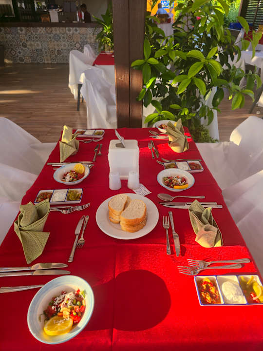 Gastro Calimera Hane Garden