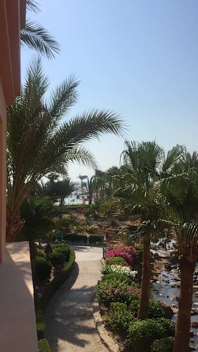 Ausblick Mövenpick Resort & Spa El Gouna