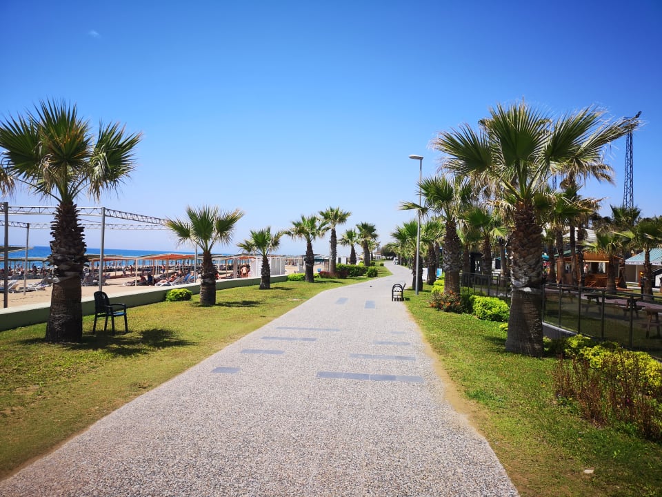 Strand Kamelya Aishen Club