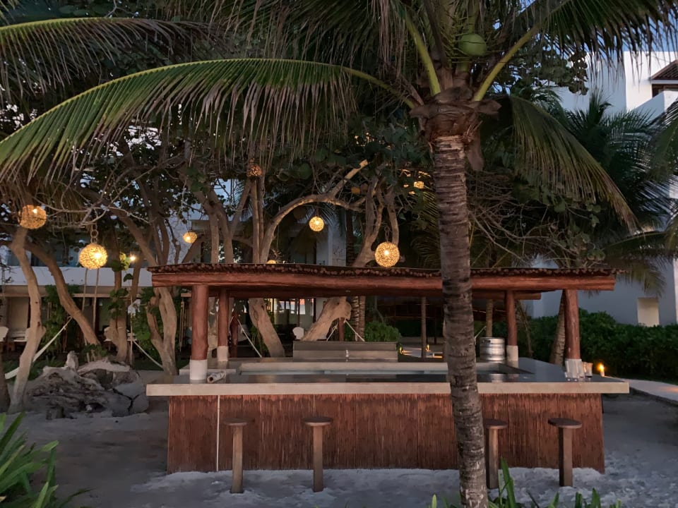 Gartenanlage Akumal Bay Beach & Wellness Resort