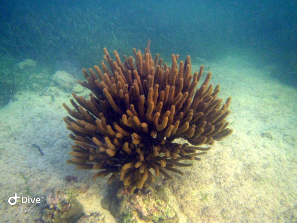 Sport & Freizeit Akumal Bay Beach & Wellness Resort