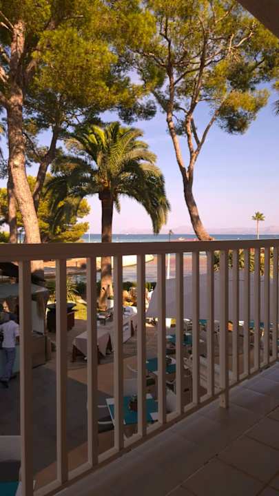 Ausblick allsun App.-Hotel Orquidea Playa