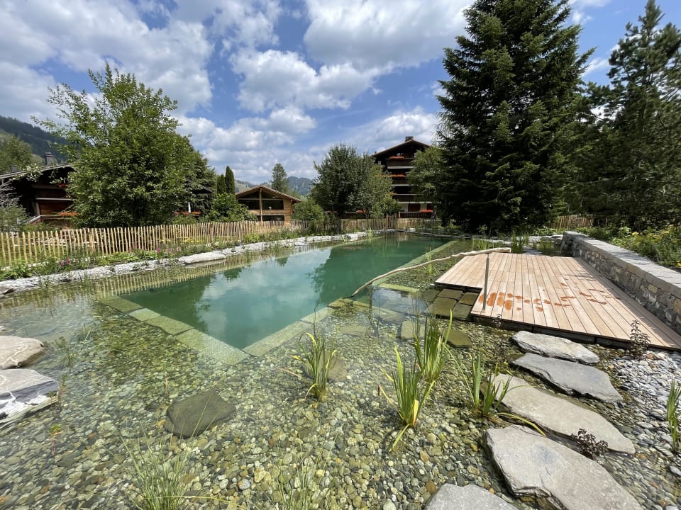 Pool MAISON HORNBERG