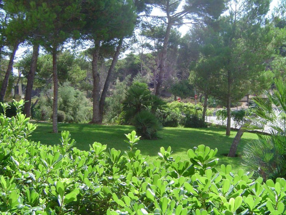 Blick vom Balkon VIVA Cala Mesquida Suites & Spa 16+