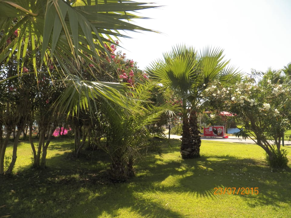 VON Resort Golden Coast VONRESORT Golden Coast