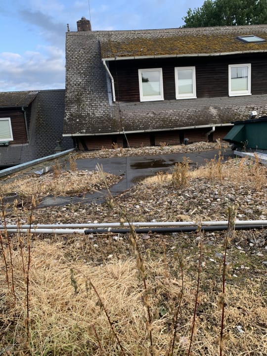 Ausblick Ihr Ferien Hotel Brunnenhof