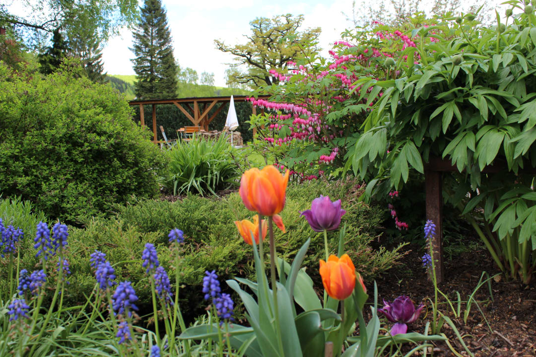 Gartenanlage Hotel Saigerhütte