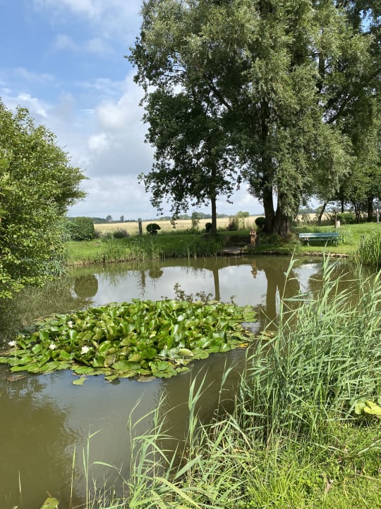 Ausblick Hotelpension Altes Zollhaus-Leybucht