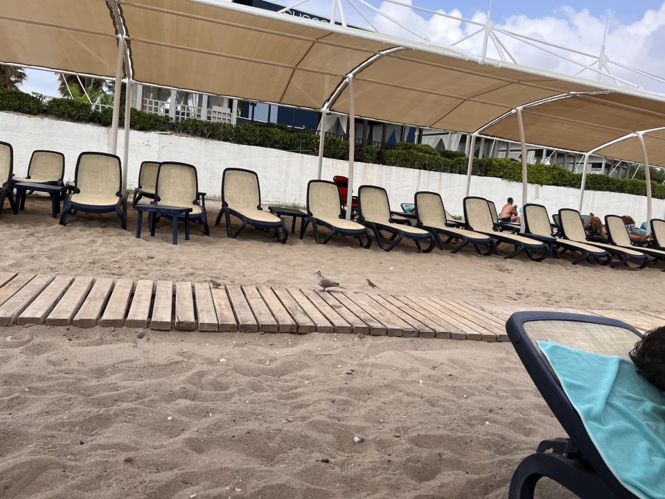 Strand Susesi Luxury Resort