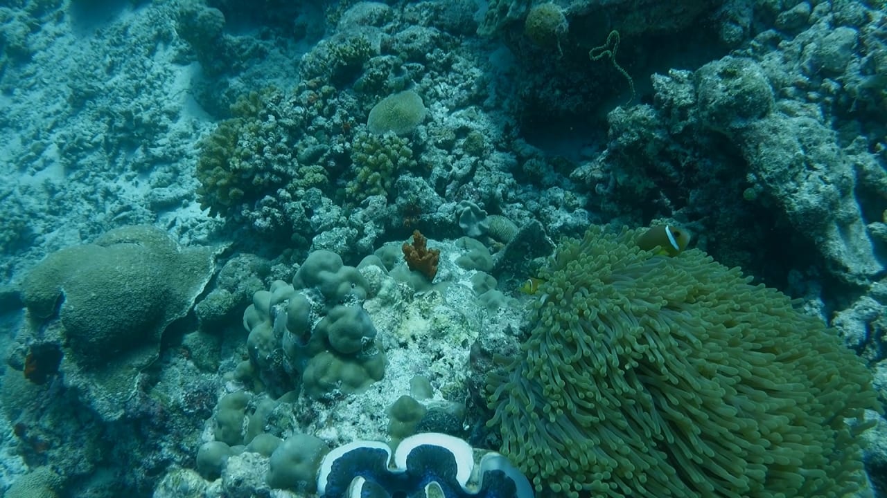 Sport & Freizeit Furaveri Maldives