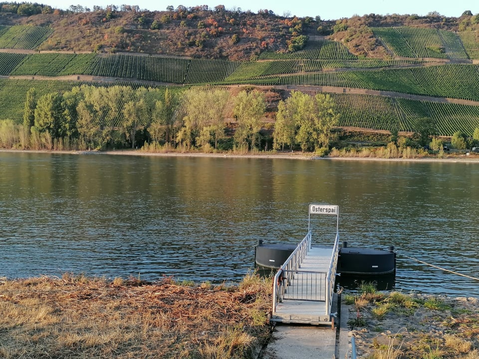 Ausblick Hotel Lindenhof