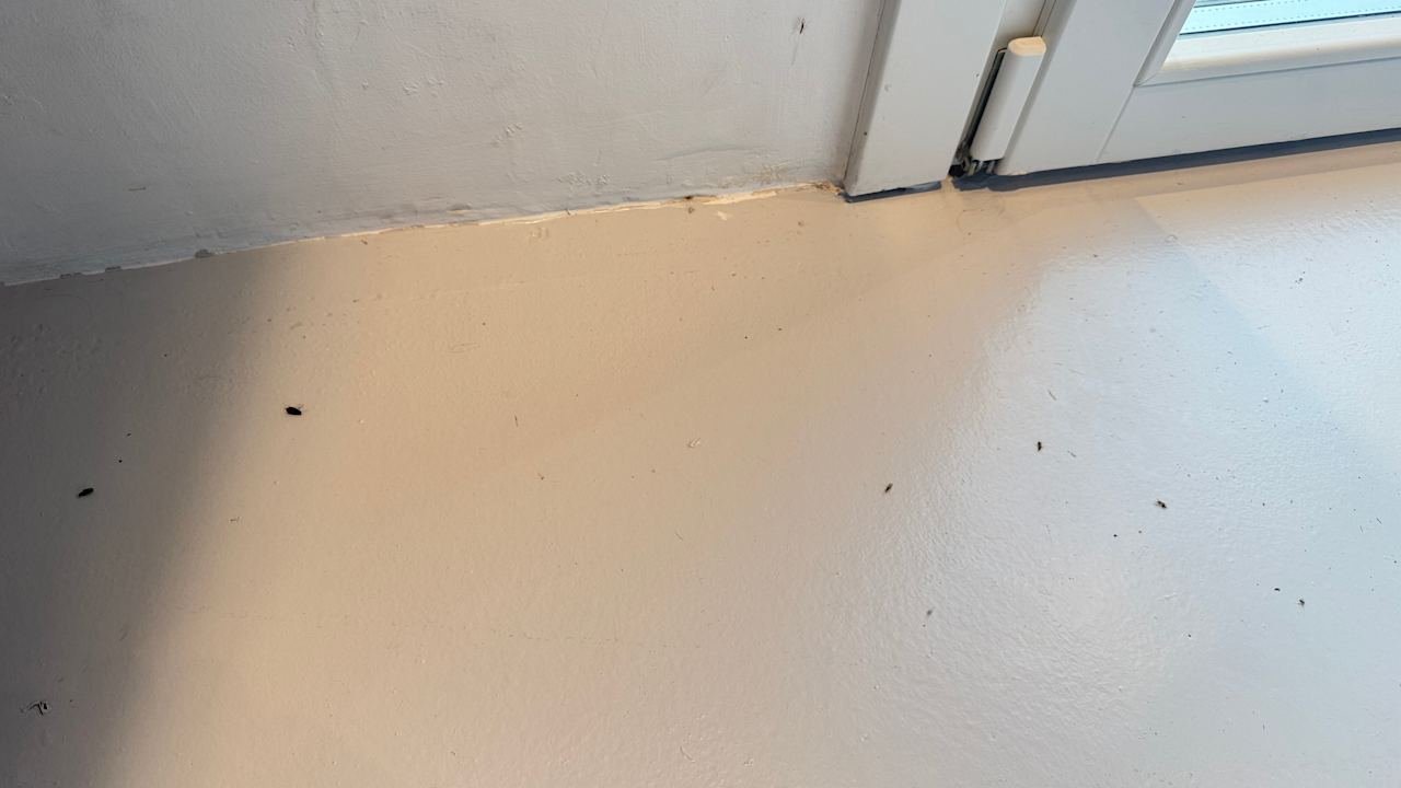 Zimmer Croco Mykonos