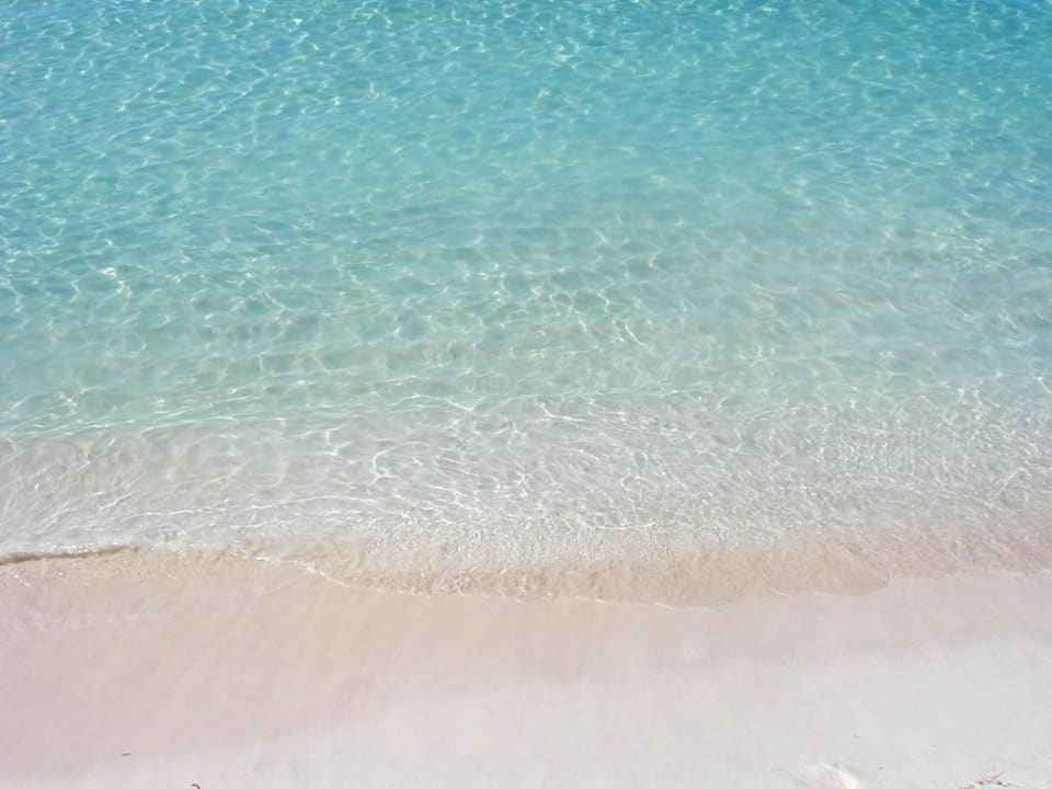 Spiaggia Hotel Viva Dominicus Beach by Wyndham - All Inclusive Resort