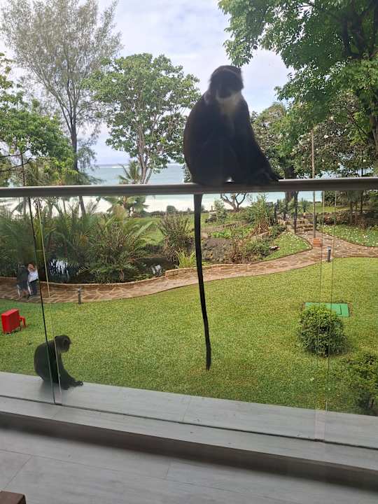 Ausblick Baobab Beach Resort & Spa